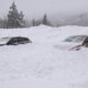 Бензиновый автомобиль и электромобиль закопали в снег и дали рекомендации по выживанию