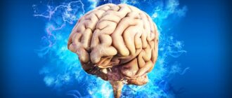 Исследования помогли по-новому взглянуть на обработку мозгом повседневных событий