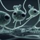 Новый микроб выделяет зловонный токсичный газ, но защищает от патогенов