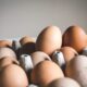 В Минсельхозе нашли условия снижения цен на яйца после Нового года