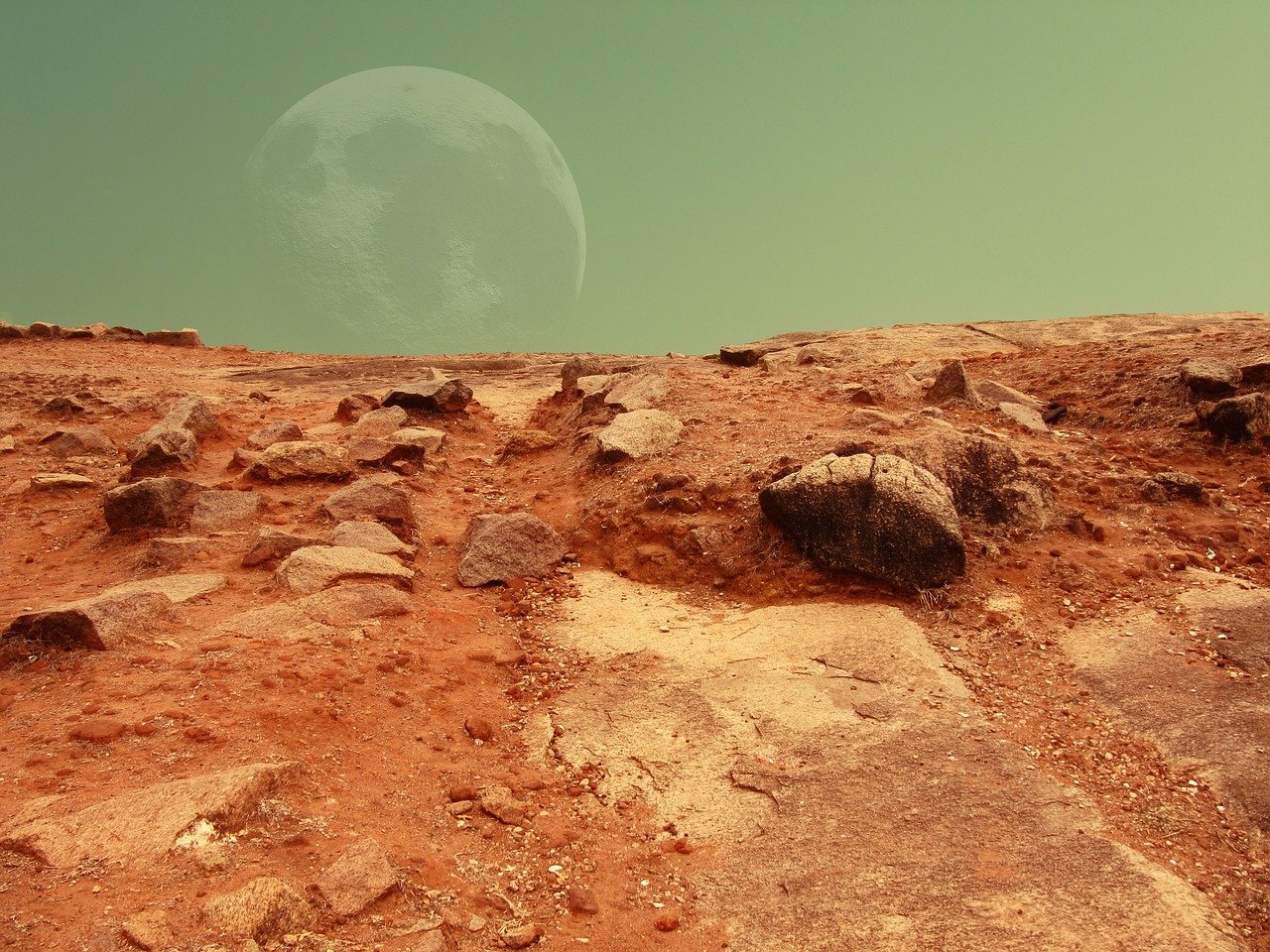 Земные бактерии смогли выжить в марсианской среде