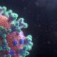 BiorXiv: Ученые в Японии предупредили о риске мутации COVID-19 в «гробовирус»