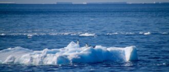 Ученые выяснили необычное происхождение полыньи Мод-Райз вокруг Антарктиды