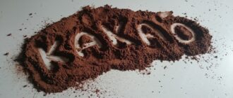 Невролог Эми Райхельт: Употребление порошка какао замедляет старение организма